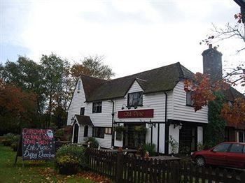 The Old Vine Inn Wadhurst Luaran gambar